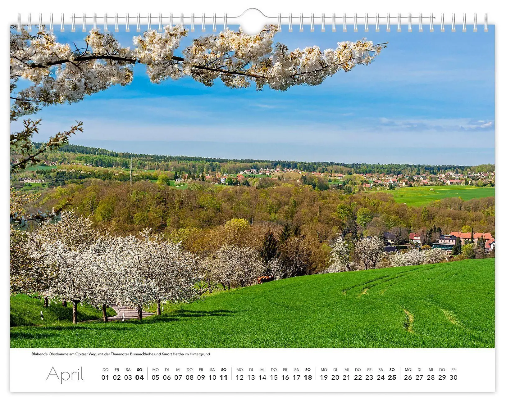 Bild: 9783912303193 | Kalender Tharandt und Umgebung 2027 | 40 x 30 cm weißes Kalendarium