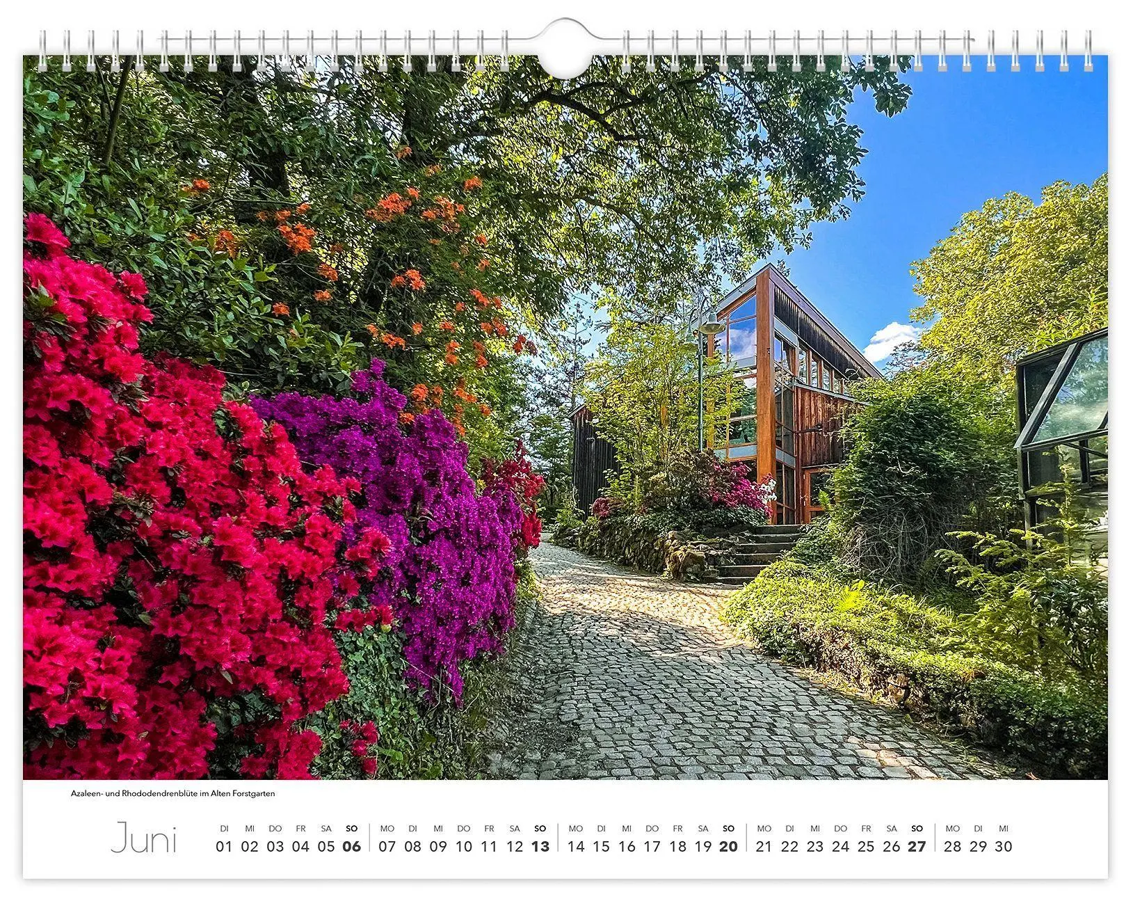 Bild: 9783912303193 | Kalender Tharandt und Umgebung 2027 | 40 x 30 cm weißes Kalendarium