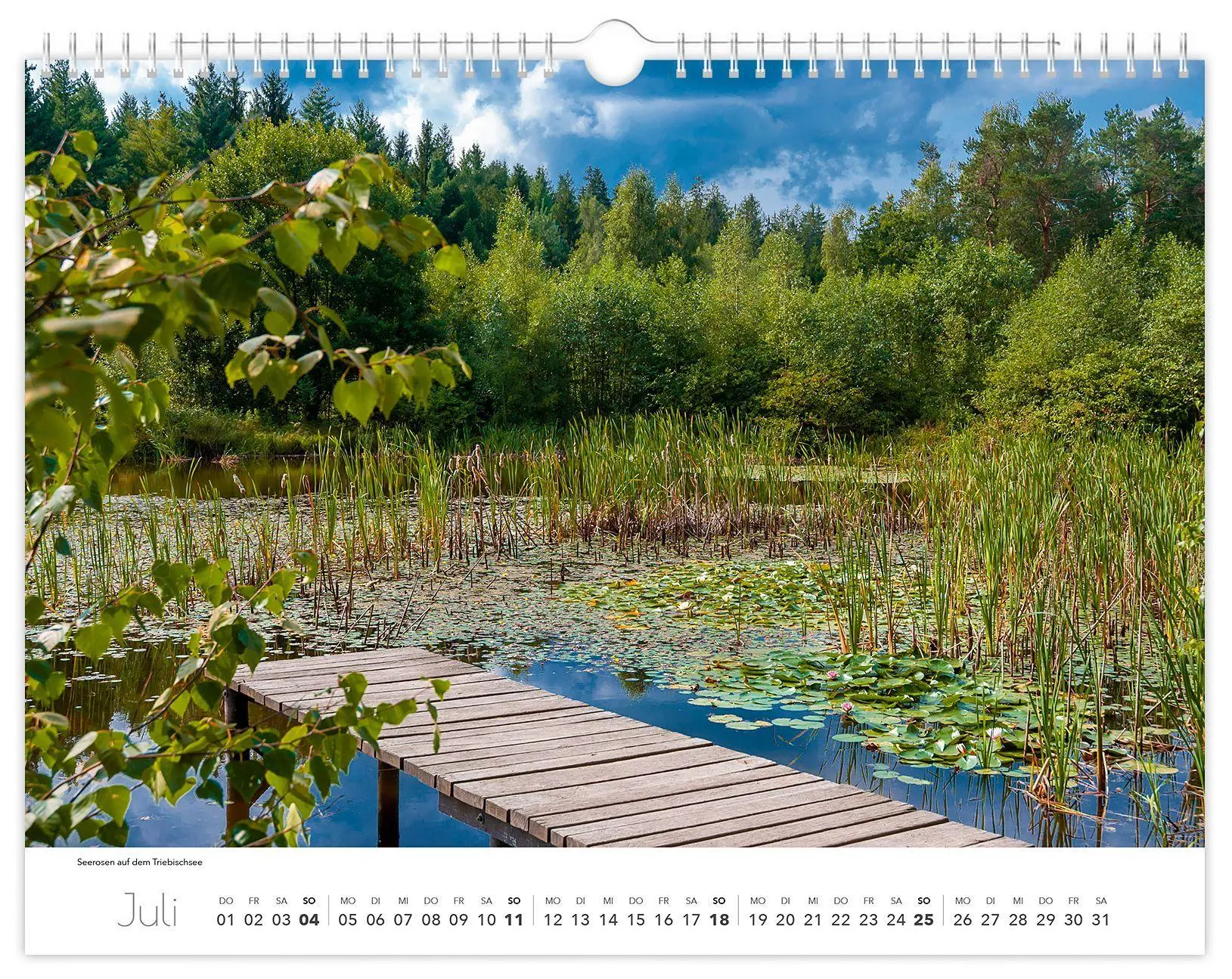 Bild: 9783912303193 | Kalender Tharandt und Umgebung 2027 | 40 x 30 cm weißes Kalendarium