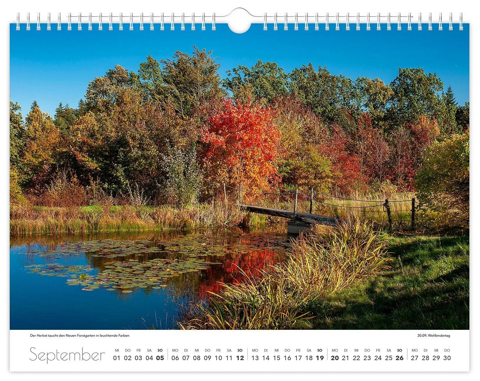 Bild: 9783912303193 | Kalender Tharandt und Umgebung 2027 | 40 x 30 cm weißes Kalendarium