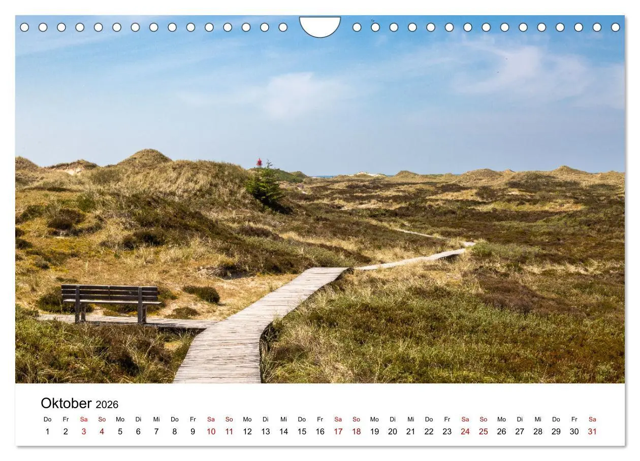 Bild: 9783457373293 | Amrum - Das Paradies in der Nordsee (Wandkalender 2026 DIN A4...