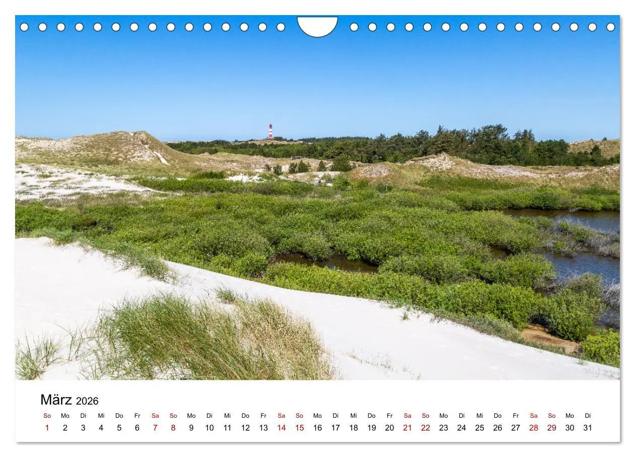 Bild: 9783457373293 | Amrum - Das Paradies in der Nordsee (Wandkalender 2026 DIN A4...