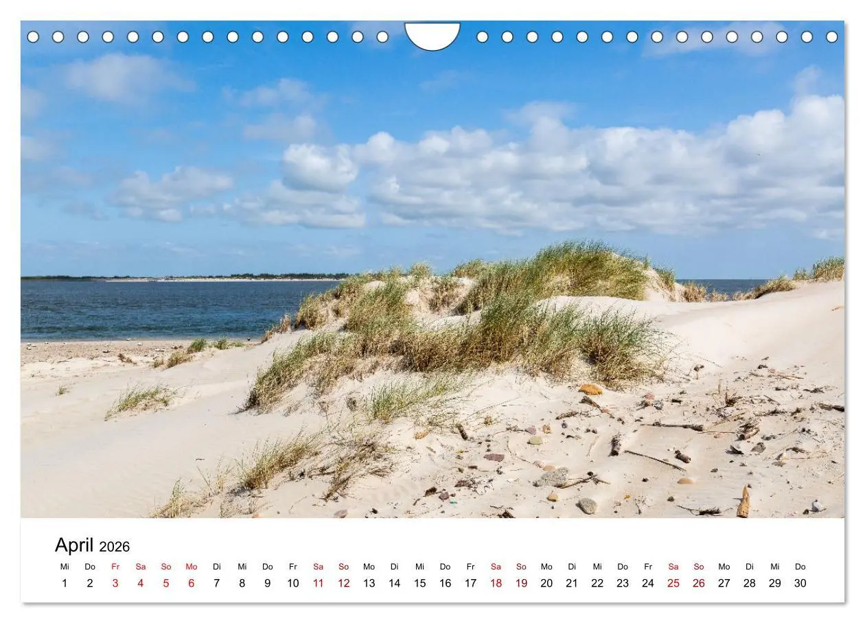Bild: 9783457373293 | Amrum - Das Paradies in der Nordsee (Wandkalender 2026 DIN A4...
