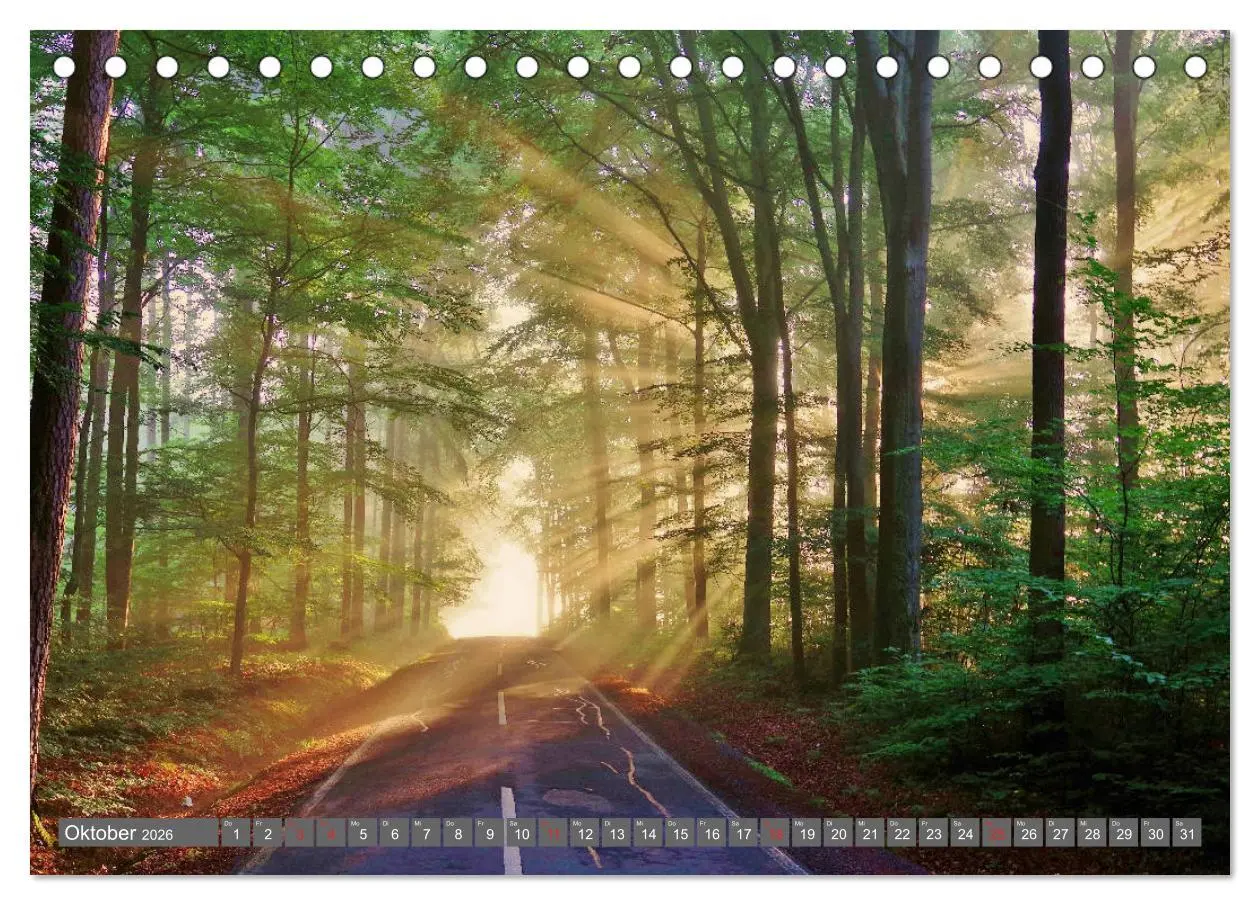 Bild: 9783457683293 | Zauberhafte Schwalm (Tischkalender 2026 DIN A5 quer), CALVENDO...