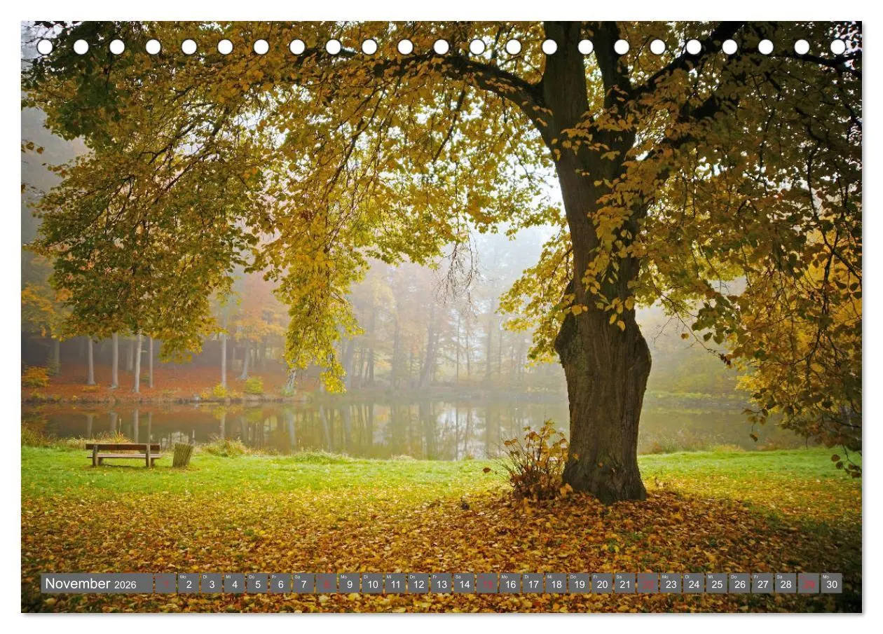 Bild: 9783457683293 | Zauberhafte Schwalm (Tischkalender 2026 DIN A5 quer), CALVENDO...