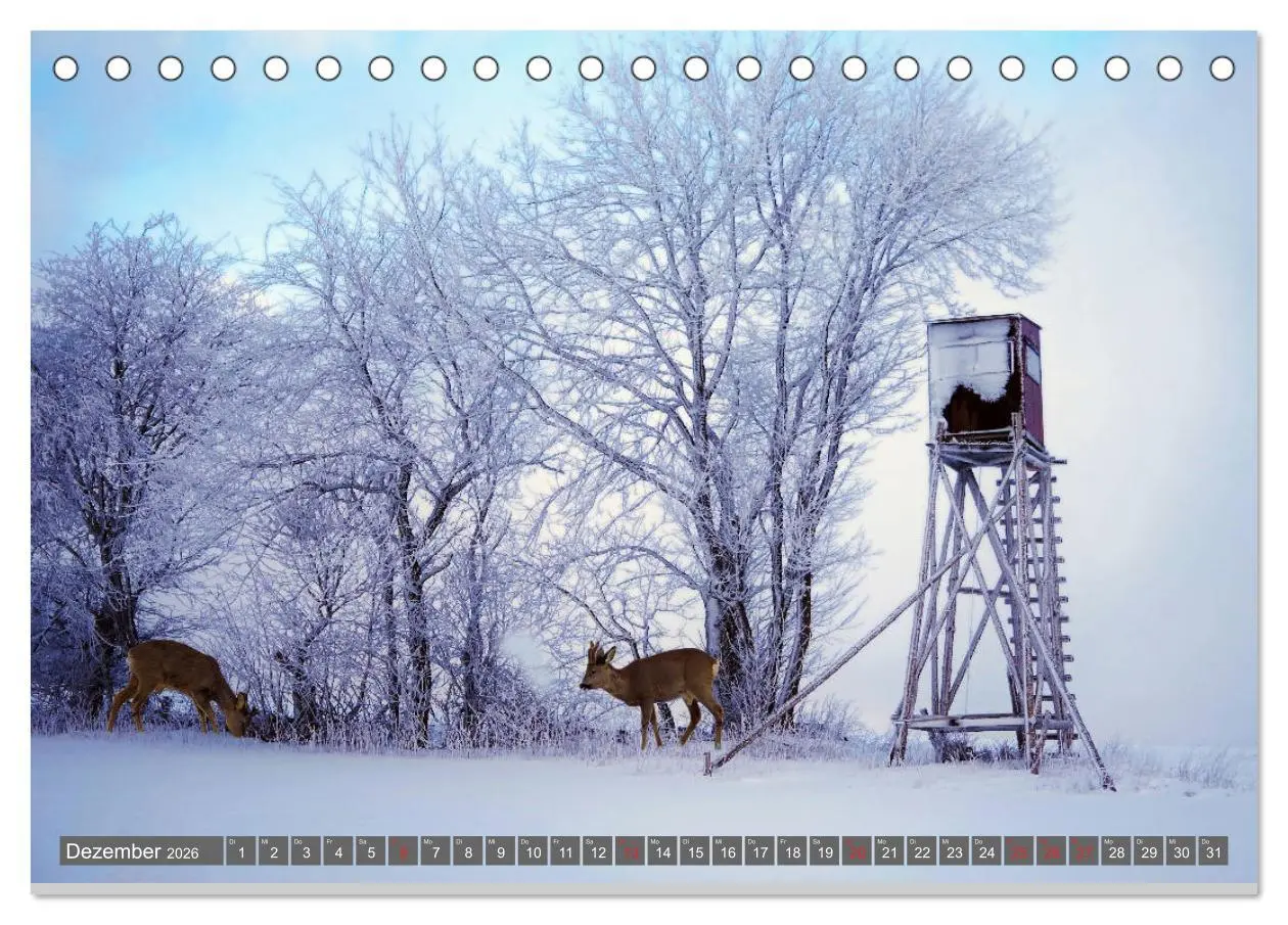 Bild: 9783457683293 | Zauberhafte Schwalm (Tischkalender 2026 DIN A5 quer), CALVENDO...