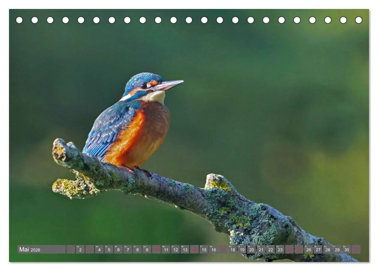 Bild: 9783457683293 | Zauberhafte Schwalm (Tischkalender 2026 DIN A5 quer), CALVENDO...