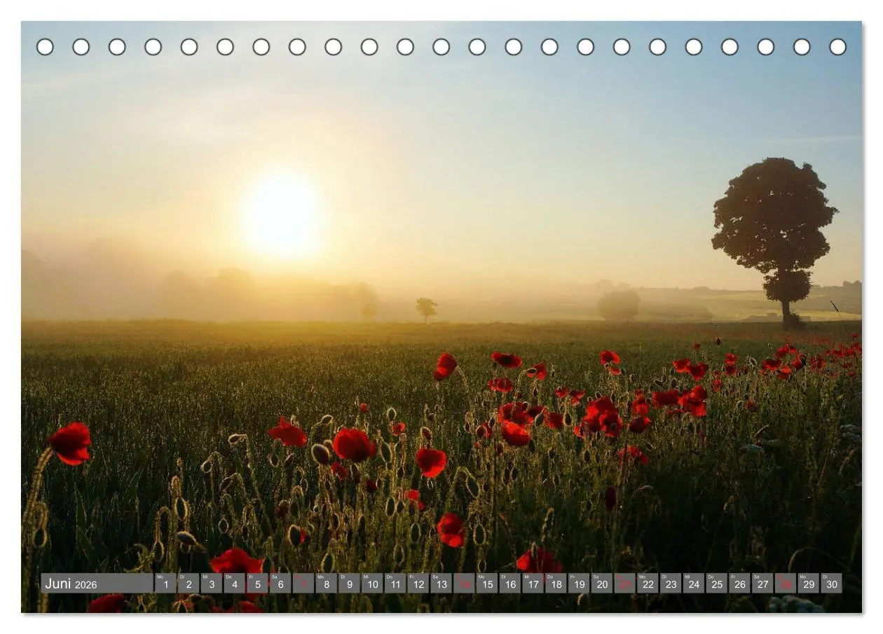 Bild: 9783457683293 | Zauberhafte Schwalm (Tischkalender 2026 DIN A5 quer), CALVENDO...