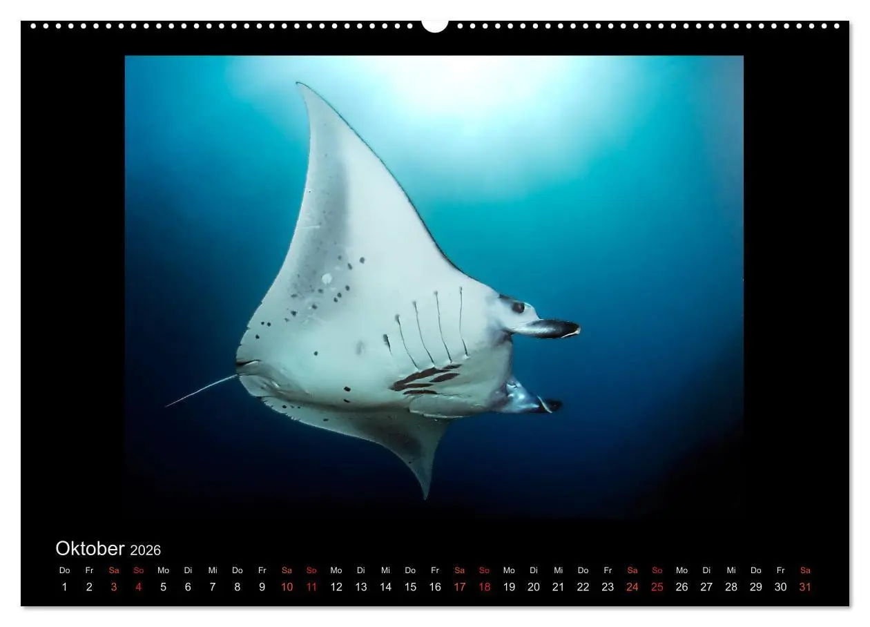 Bild: 9783516153293 | Ocean-Art / CH-Version (hochwertiger Premium Wandkalender 2026 DIN...