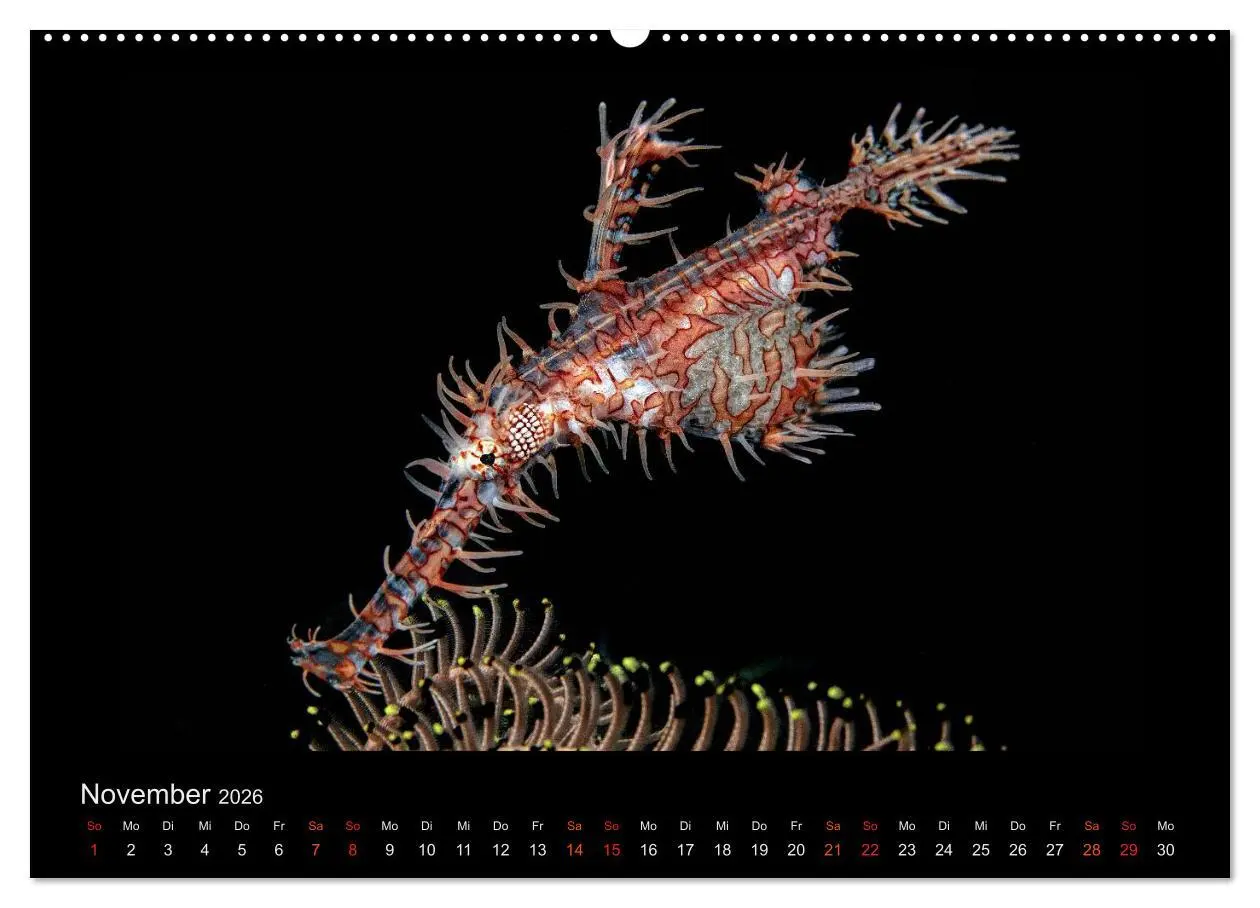 Bild: 9783516153293 | Ocean-Art / CH-Version (hochwertiger Premium Wandkalender 2026 DIN...