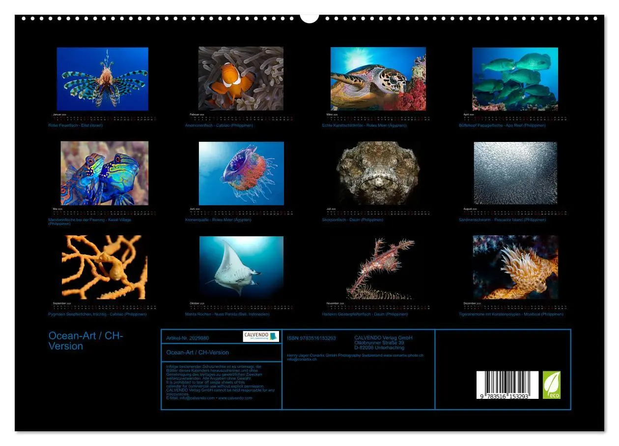 Bild: 9783516153293 | Ocean-Art / CH-Version (hochwertiger Premium Wandkalender 2026 DIN...