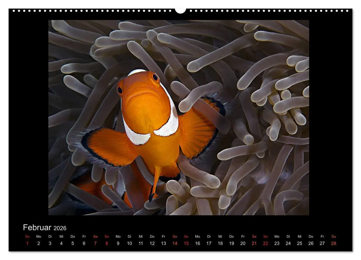 Bild: 9783516153293 | Ocean-Art / CH-Version (hochwertiger Premium Wandkalender 2026 DIN...