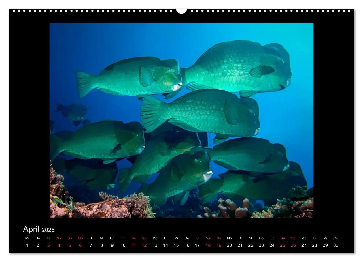 Bild: 9783516153293 | Ocean-Art / CH-Version (hochwertiger Premium Wandkalender 2026 DIN...