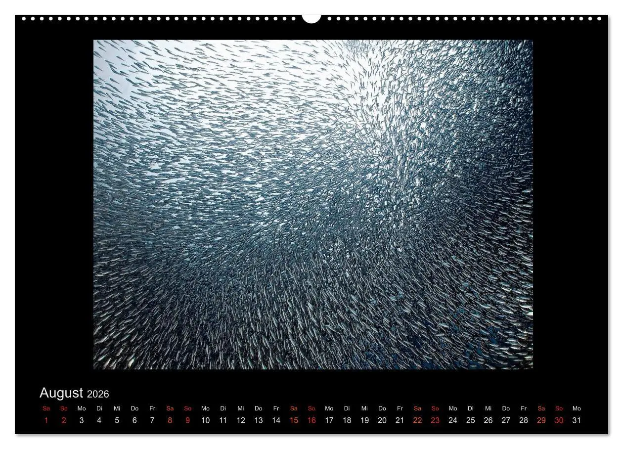 Bild: 9783516153293 | Ocean-Art / CH-Version (hochwertiger Premium Wandkalender 2026 DIN...