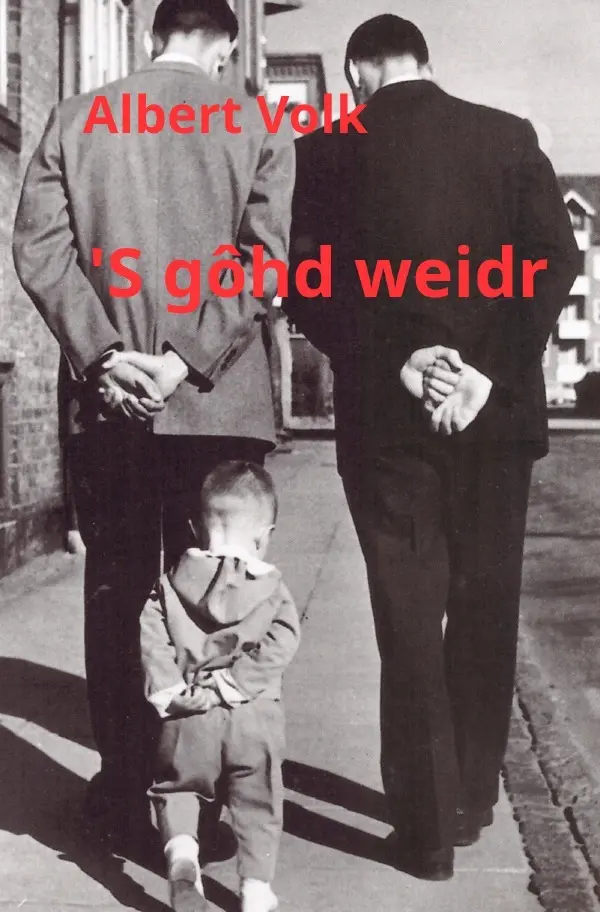 Cover: 9783819023293 | 'S gôhd weidr | Albert Volk | Taschenbuch | 100 S. | Deutsch | 2025
