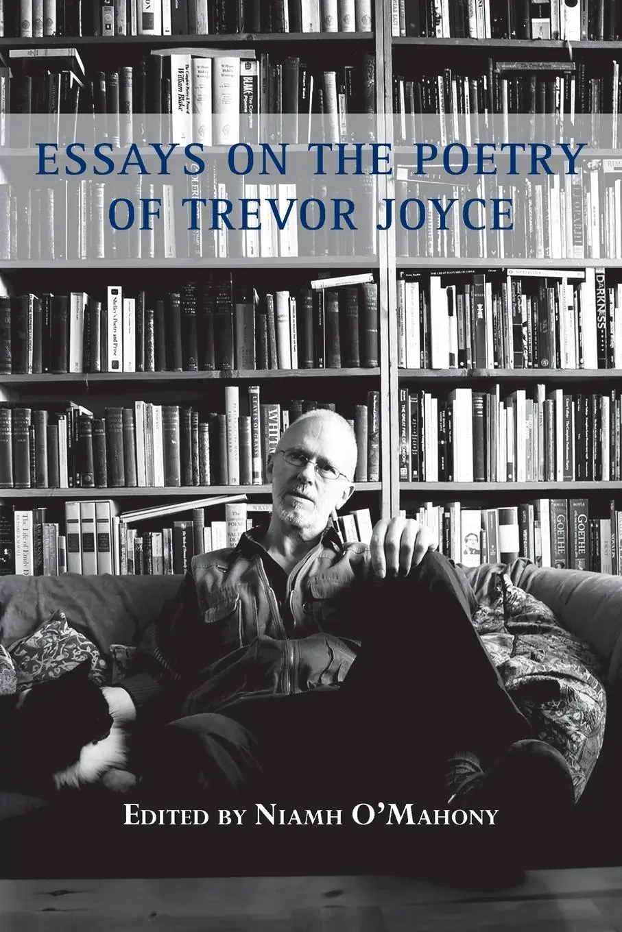Cover: 9781848613393 | Essays on the Poetry of Trevor Joyce | Niamh O'Mahony | Taschenbuch