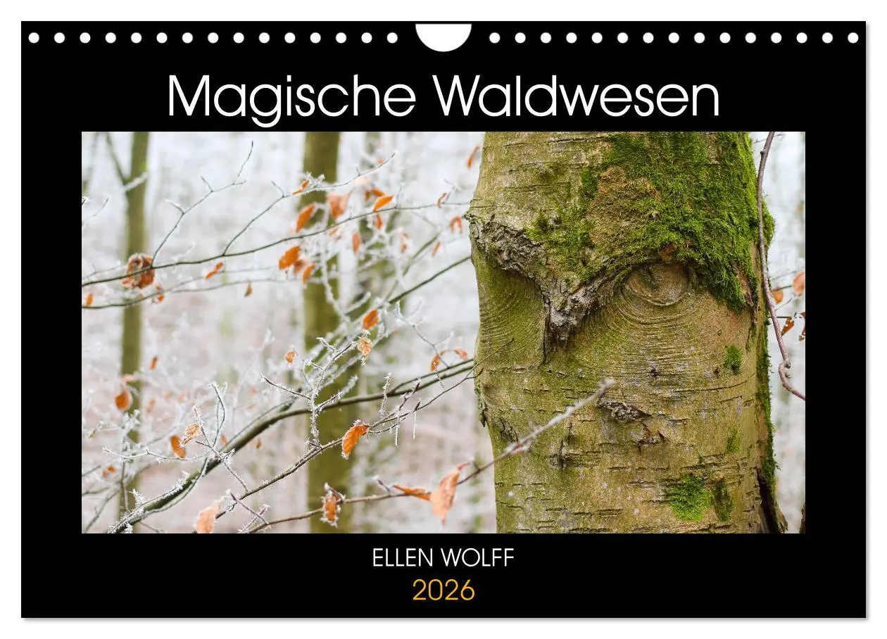 Cover: 9783457743393 | Magische Waldwesen (Wandkalender 2026 DIN A4 quer), CALVENDO...