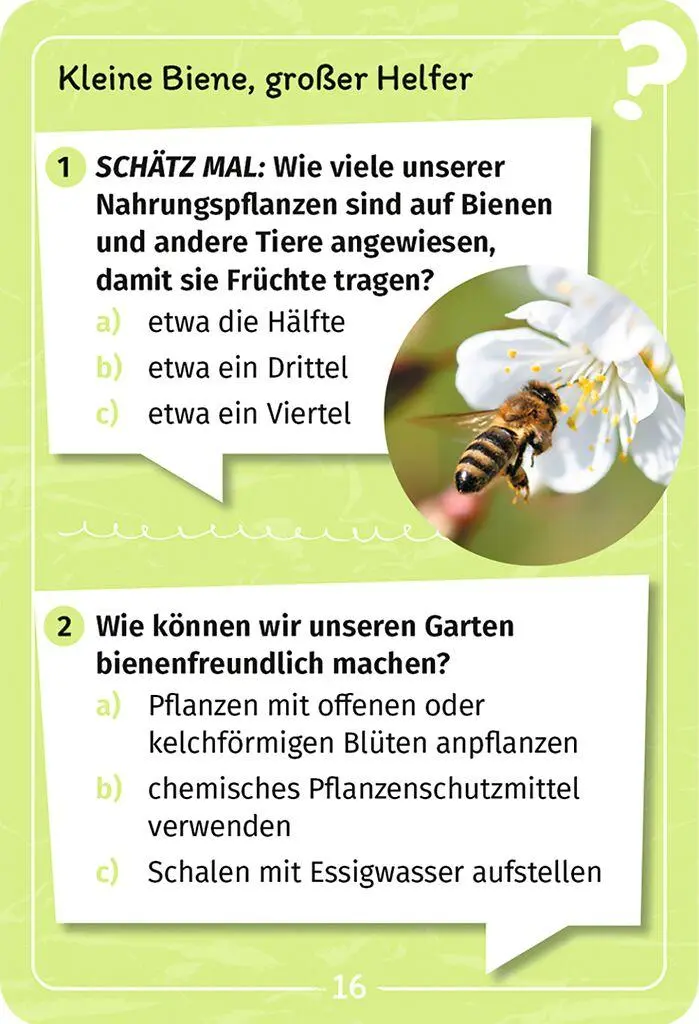 Bild: 9783964553393 | Mein Garten-Forscherquiz | Annett Stütze (u. a.) | Taschenbuch | 50 S.