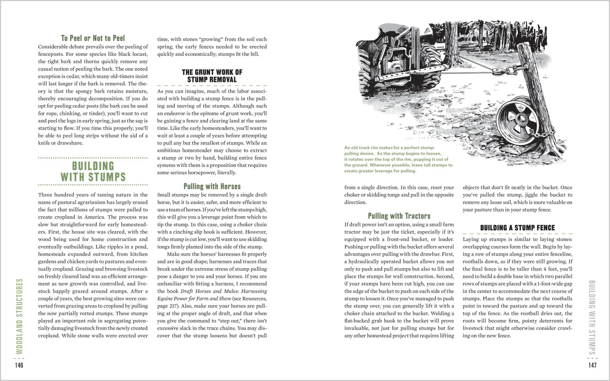 Bild: 9781612123493 | The Woodland Homestead | Brett McLeod | Taschenbuch | Englisch | 2015