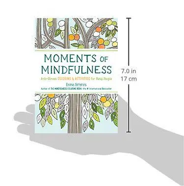 Bild: 9781615193493 | Moments of Mindfulness | Emma Farrarons | Taschenbuch | Englisch