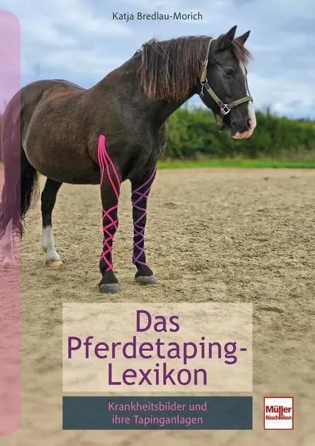 Cover: 9783275023493 | Pferdetaping-Lexikon | Krankheitsbilder und ihre Tapinganlagen | Buch