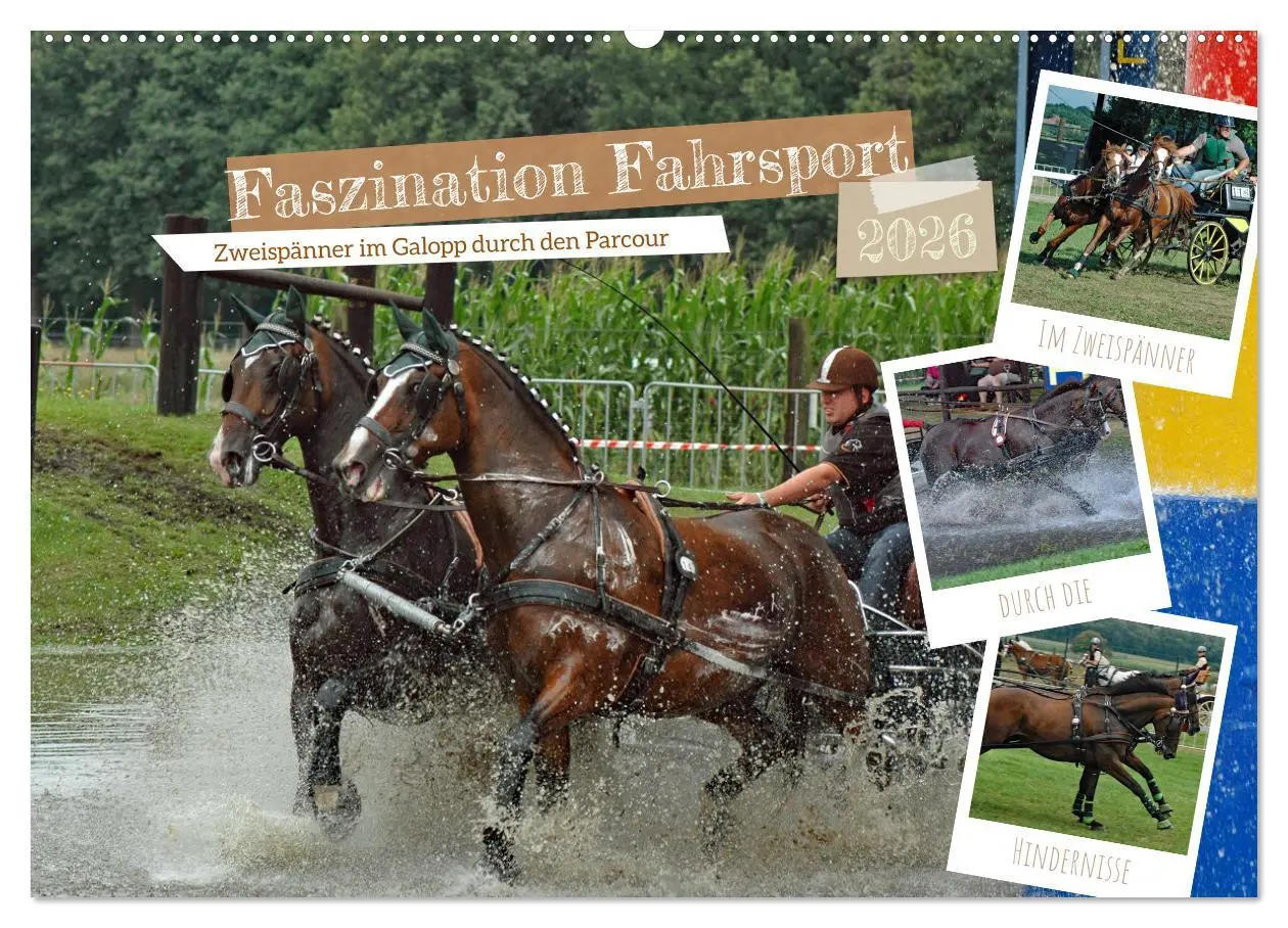 Cover: 9783457583593 | Faszination Fahrsport - Zweispänner im Galopp durch den Parcour...