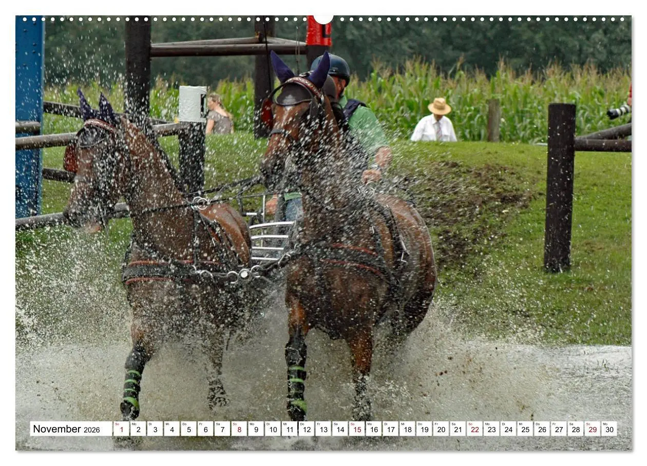 Bild: 9783457583593 | Faszination Fahrsport - Zweispänner im Galopp durch den Parcour...