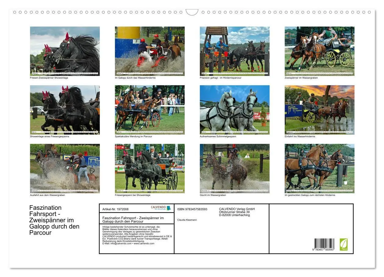Bild: 9783457583593 | Faszination Fahrsport - Zweispänner im Galopp durch den Parcour...