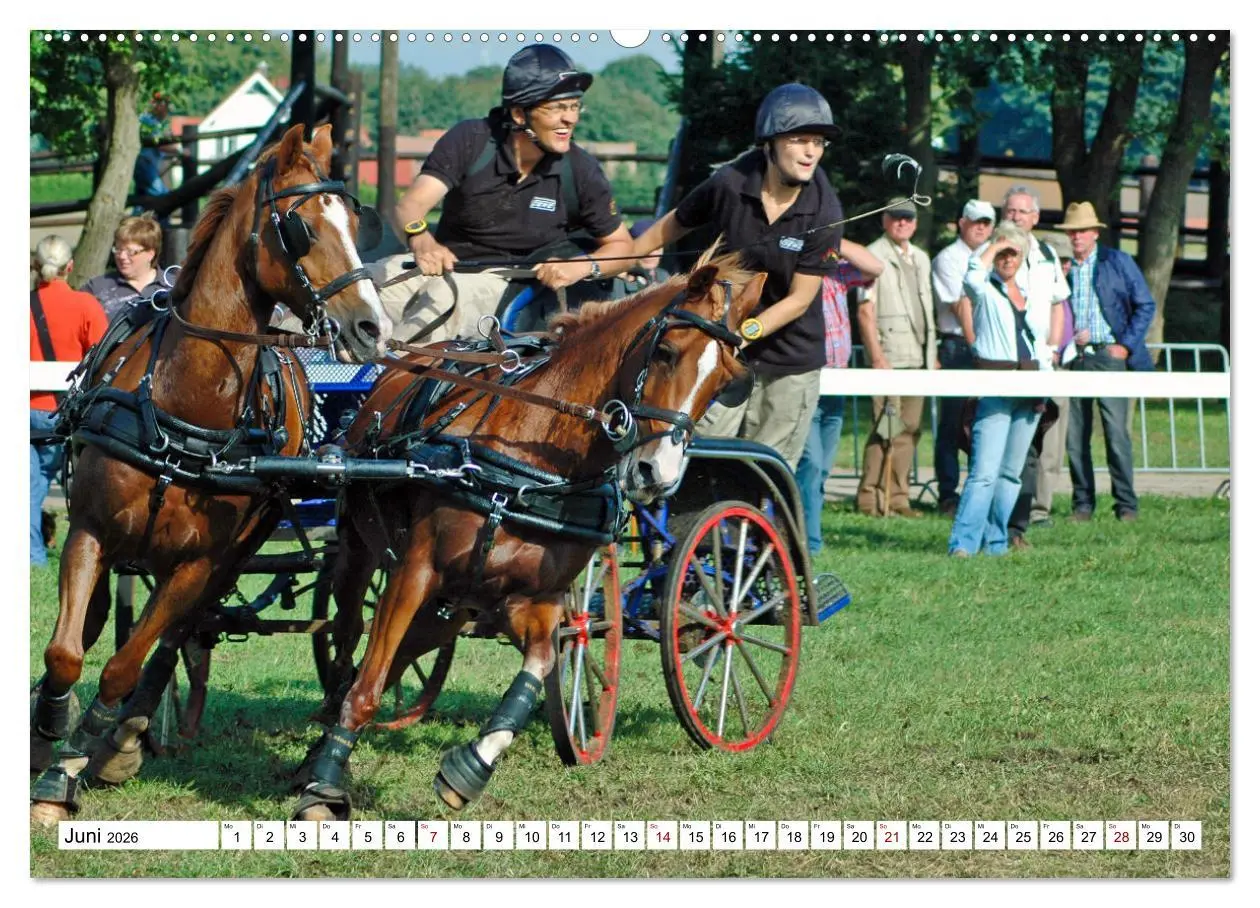 Bild: 9783457583593 | Faszination Fahrsport - Zweispänner im Galopp durch den Parcour...