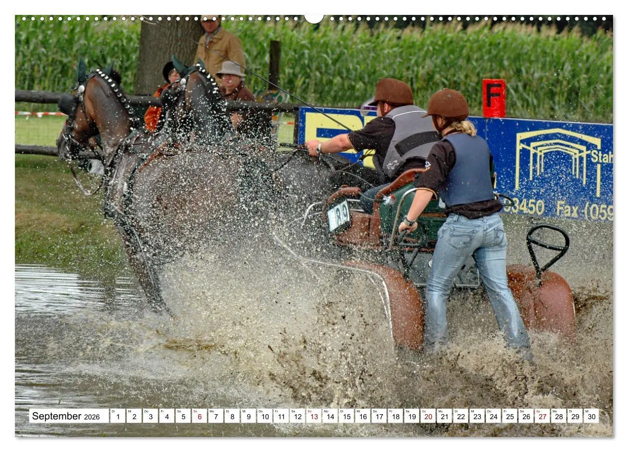 Bild: 9783457583593 | Faszination Fahrsport - Zweispänner im Galopp durch den Parcour...