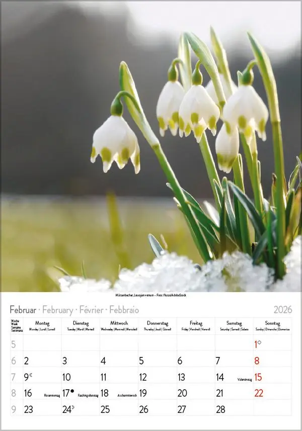 Bild: 9783731883593 | Blütenzauber 2026 | Verlag Korsch | Kalender | Spiralbindung | 13 S.