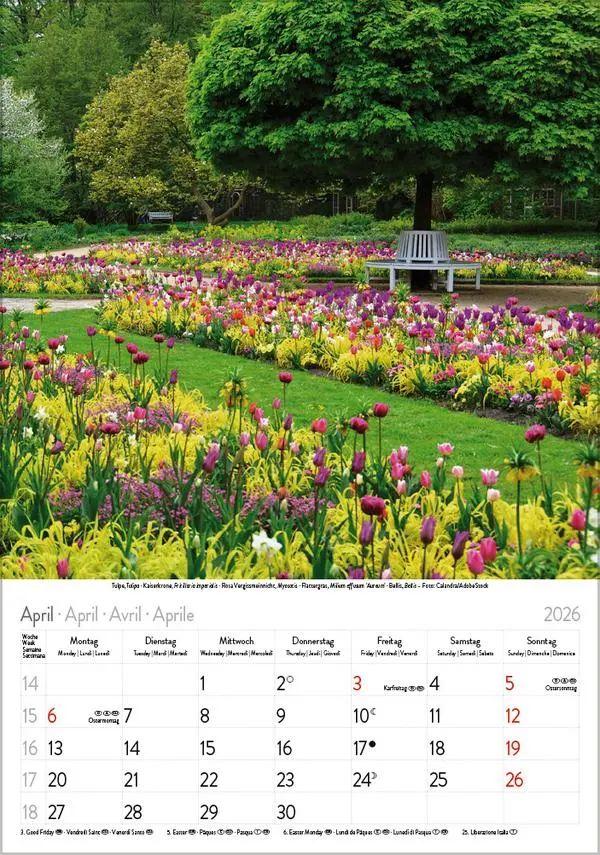 Bild: 9783731883593 | Blütenzauber 2026 | Verlag Korsch | Kalender | Spiralbindung | 13 S.