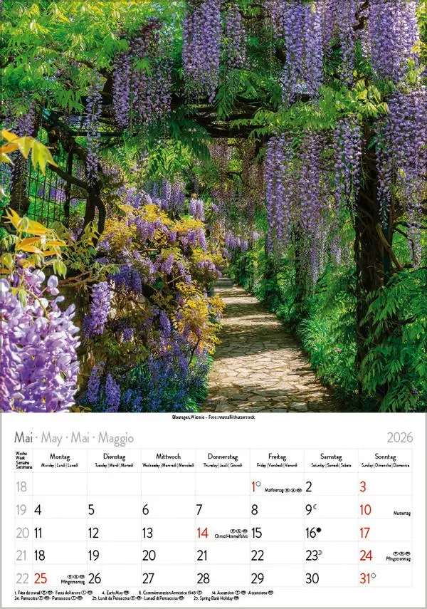 Bild: 9783731883593 | Blütenzauber 2026 | Verlag Korsch | Kalender | Spiralbindung | 13 S.