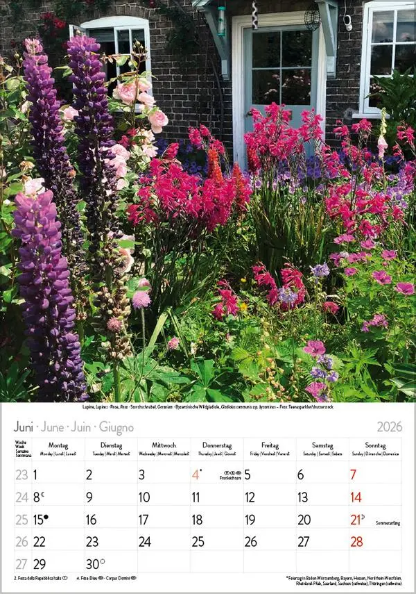 Bild: 9783731883593 | Blütenzauber 2026 | Verlag Korsch | Kalender | Spiralbindung | 13 S.