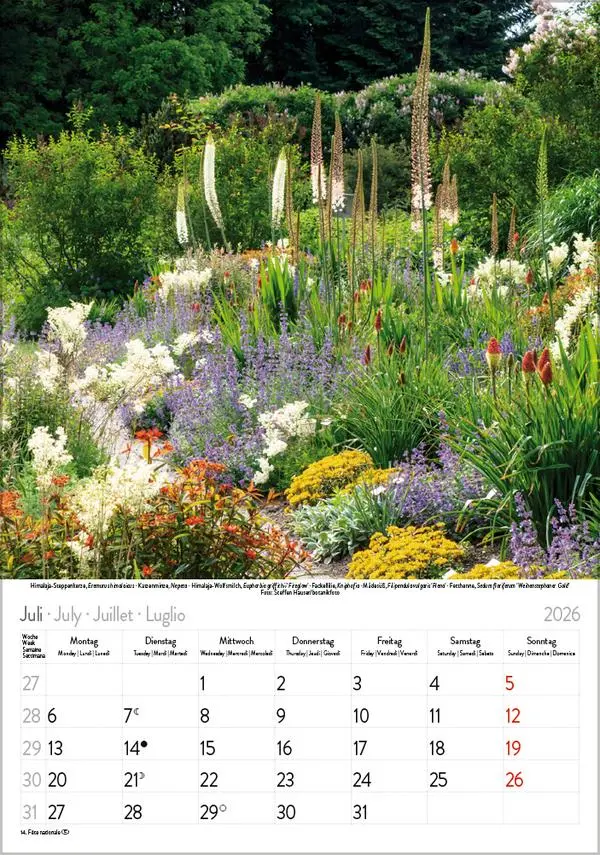Bild: 9783731883593 | Blütenzauber 2026 | Verlag Korsch | Kalender | Spiralbindung | 13 S.