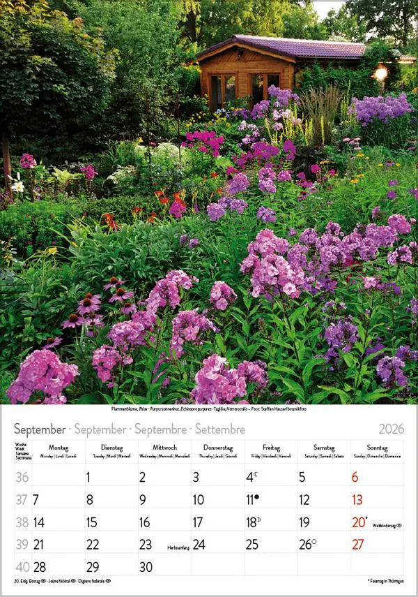 Bild: 9783731883593 | Blütenzauber 2026 | Verlag Korsch | Kalender | Spiralbindung | 13 S.