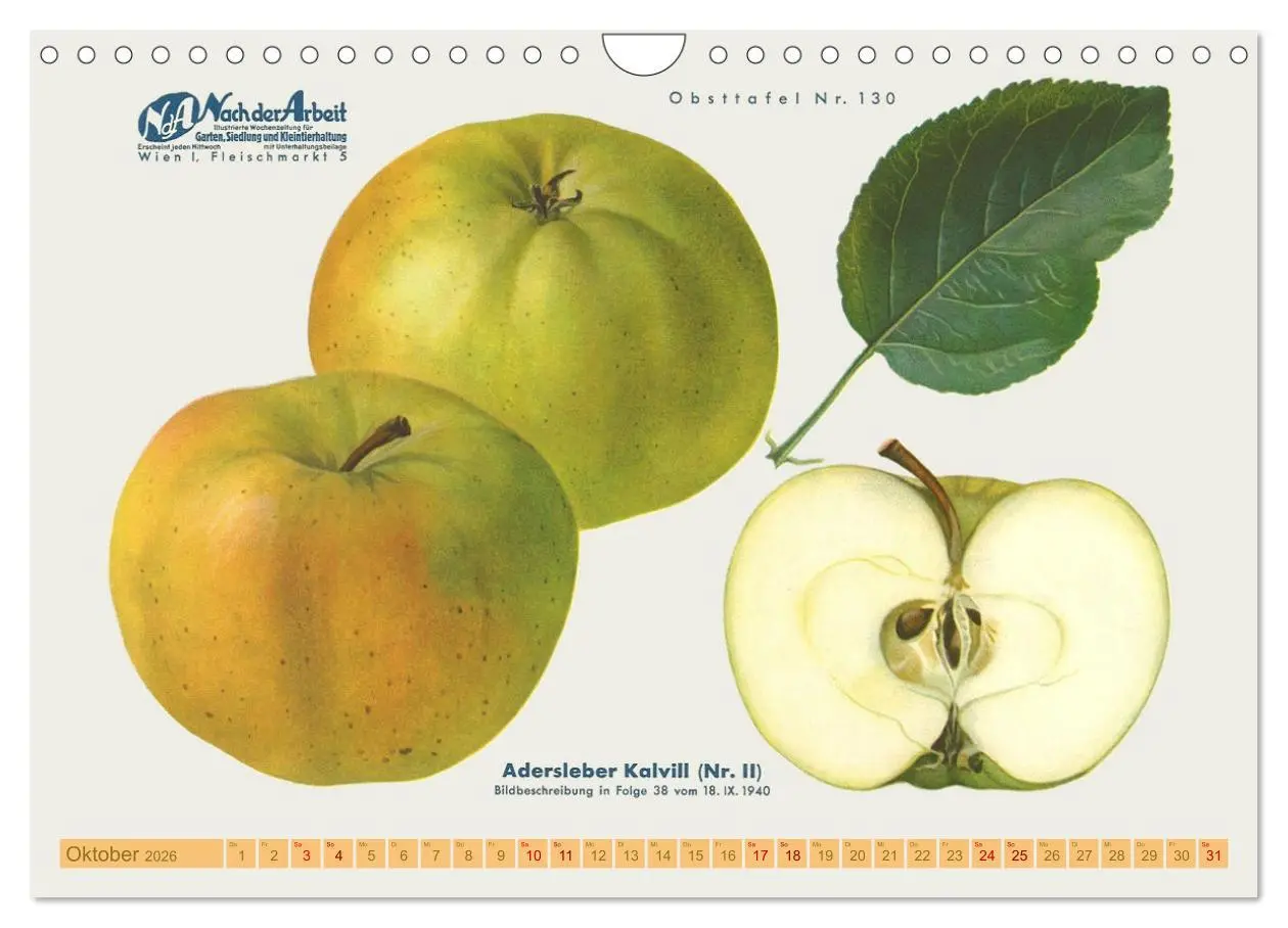 Bild: 9783457573693 | Alte Apfelsorten für Allergiker (Wandkalender 2026 DIN A4 quer),...