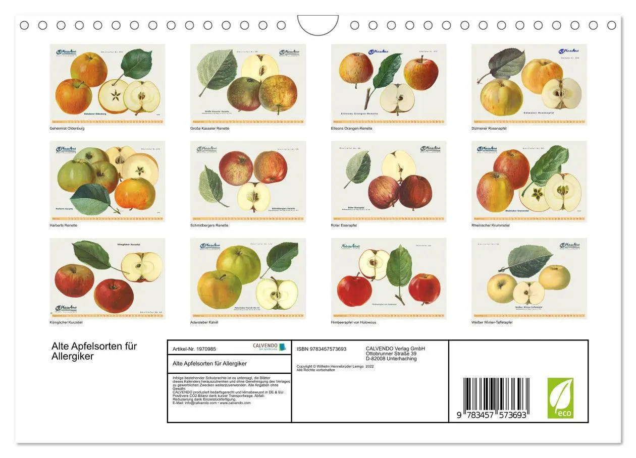 Bild: 9783457573693 | Alte Apfelsorten für Allergiker (Wandkalender 2026 DIN A4 quer),...