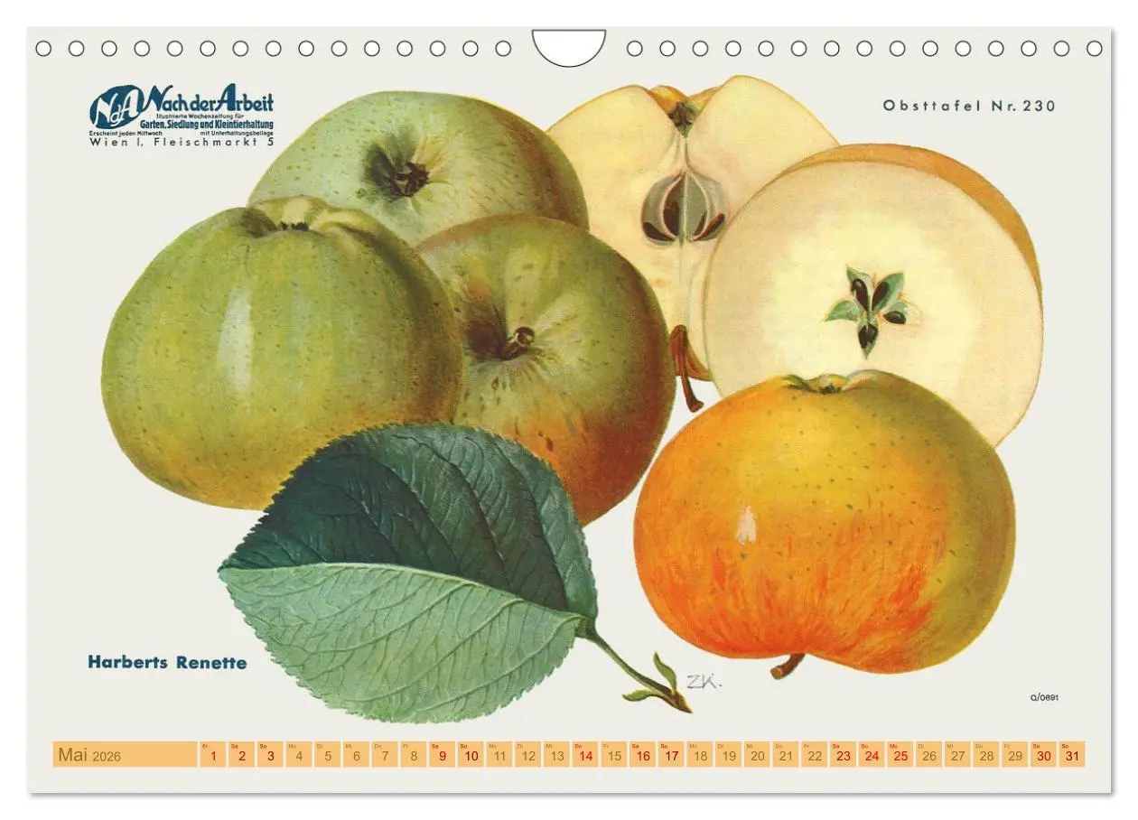 Bild: 9783457573693 | Alte Apfelsorten für Allergiker (Wandkalender 2026 DIN A4 quer),...