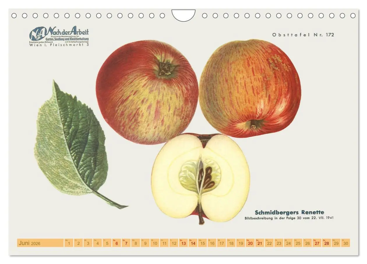 Bild: 9783457573693 | Alte Apfelsorten für Allergiker (Wandkalender 2026 DIN A4 quer),...