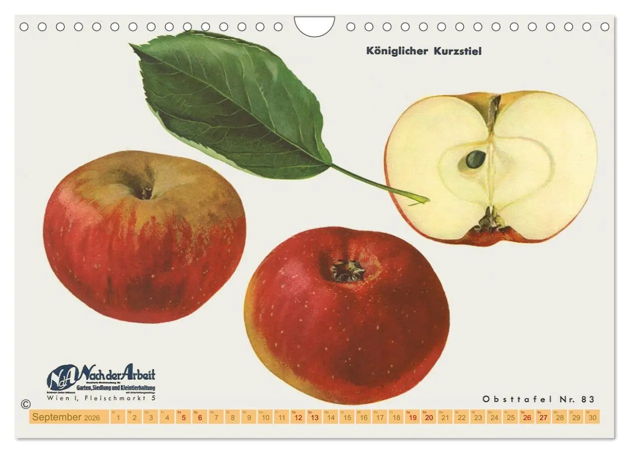 Bild: 9783457573693 | Alte Apfelsorten für Allergiker (Wandkalender 2026 DIN A4 quer),...