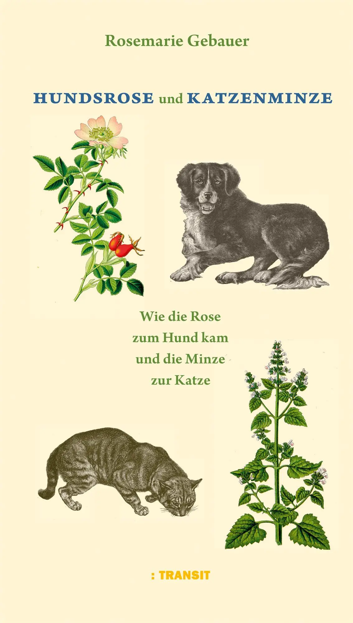 Cover: 9783887473693 | Hundsrose und Katzenminze | Rosemarie Gebauer | Taschenbuch | 144 S.