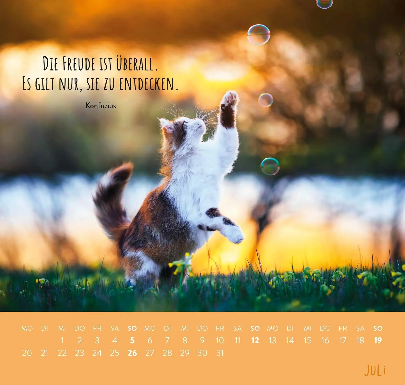 Bild: 4036442013793 | Wandkalender 2026: Für Katzenfreunde | Groh Verlag | Kalender | 12 S.