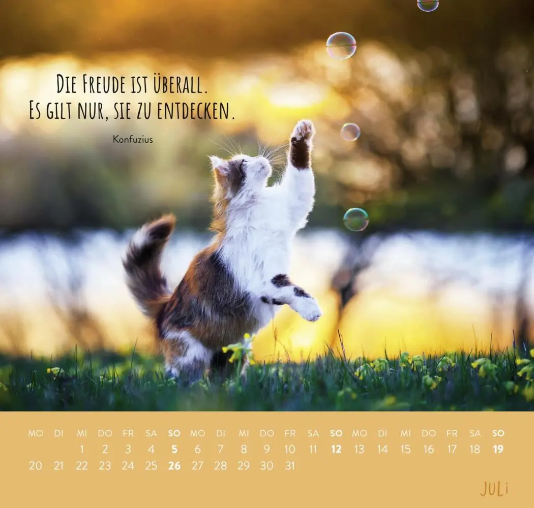 Bild: 4036442013793 | Wandkalender 2026: Für Katzenfreunde | Groh Verlag | Kalender | 2026