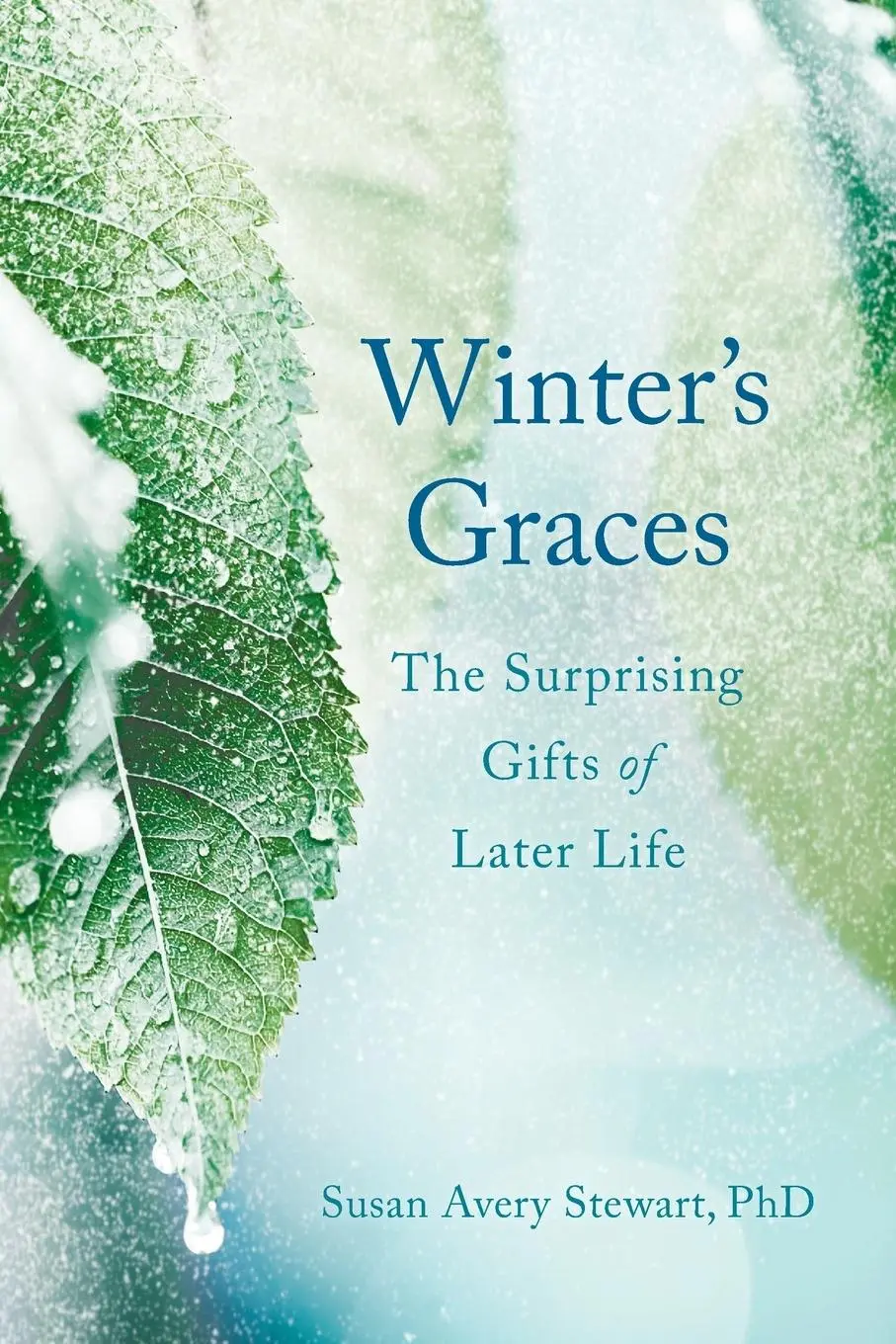 Cover: 9781631523793 | Winter's Graces | The Surprising Gifts of Later Life | Stewart | Buch