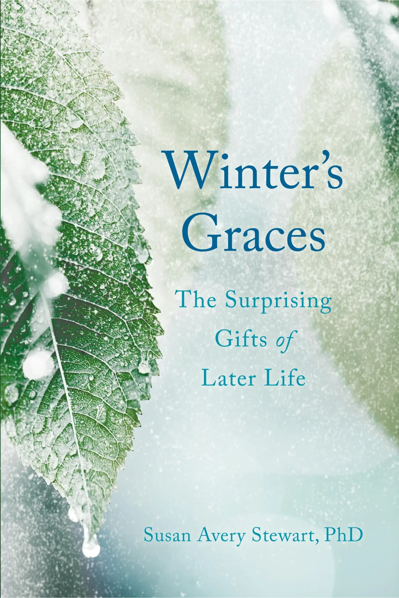 Bild: 9781631523793 | Winter's Graces | The Surprising Gifts of Later Life | Stewart | Buch