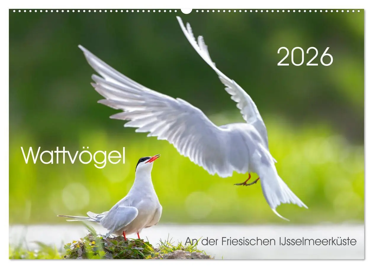 Cover: 9783457863893 | Wattvögel an der Friesischen IJsselmeerküste (Wandkalender 2026 DIN...