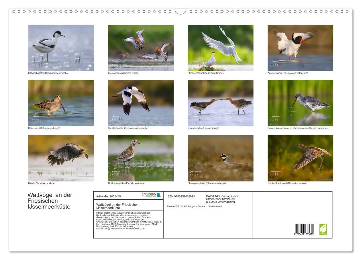 Bild: 9783457863893 | Wattvögel an der Friesischen IJsselmeerküste (Wandkalender 2026 DIN...