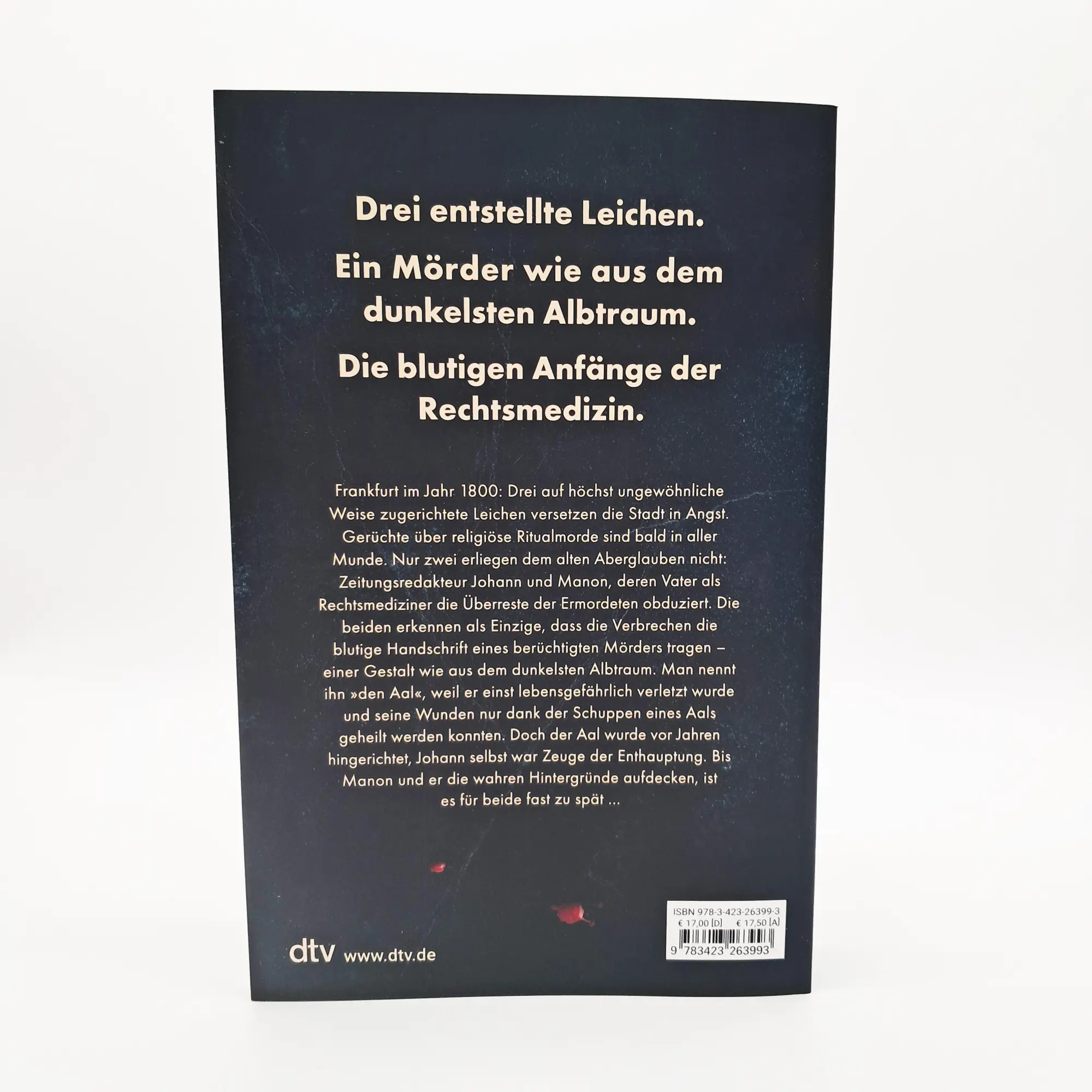 Bild: 9783423263993 | Frevel | Nora Kain | Taschenbuch | 384 S. | Deutsch | 2024