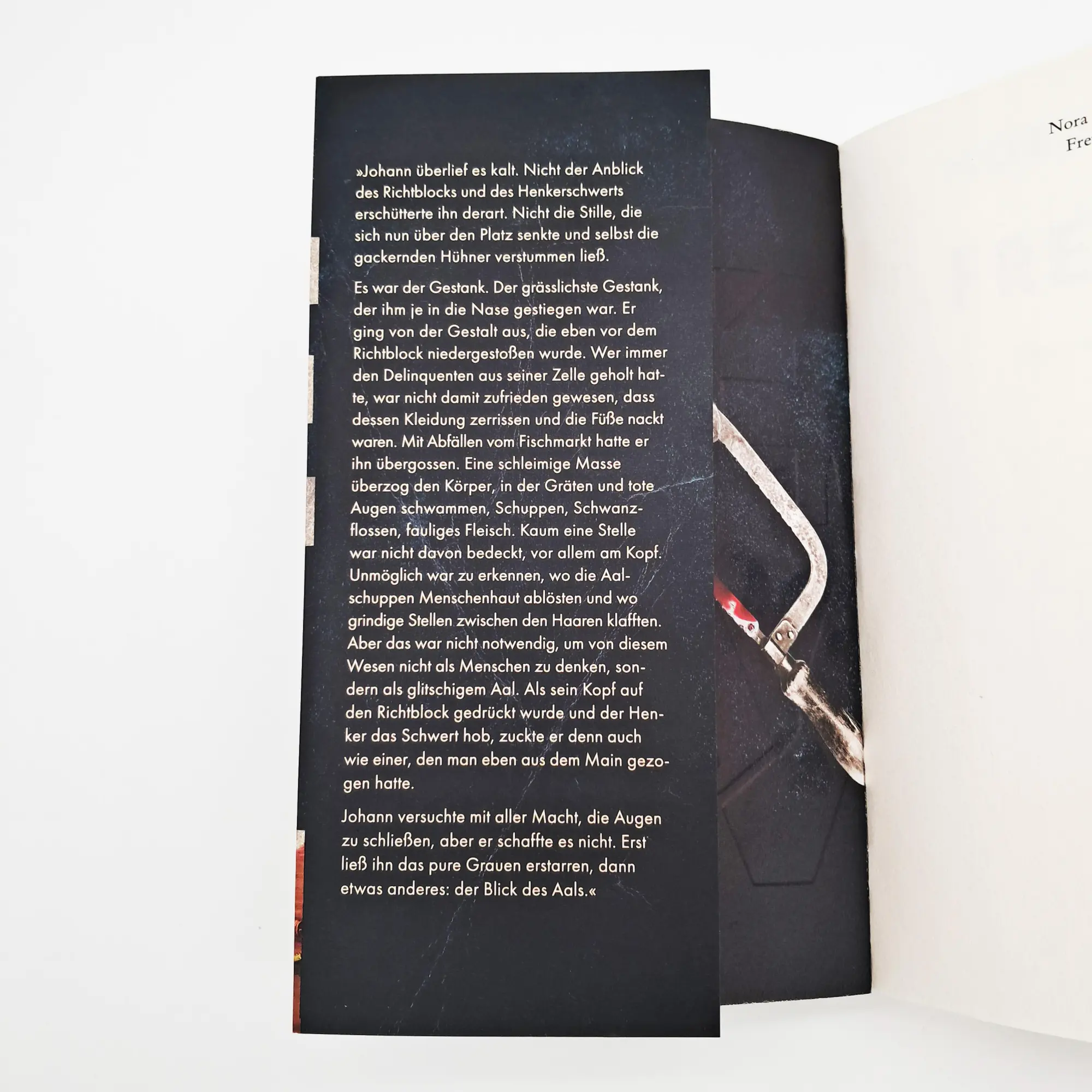 Bild: 9783423263993 | Frevel | Nora Kain | Taschenbuch | 384 S. | Deutsch | 2024